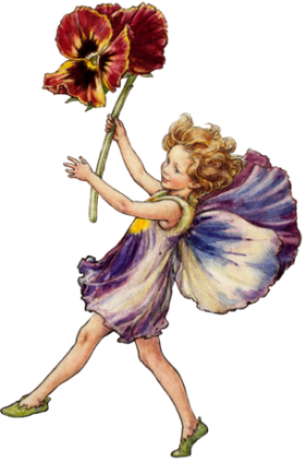 Illustration of a purple and red pansy fairy by Cicely Mary Barker