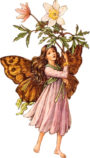Illustration of a brown, pink, and yellow weed-flower fairy by Cicely Mary Barker